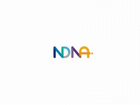 Loading animation